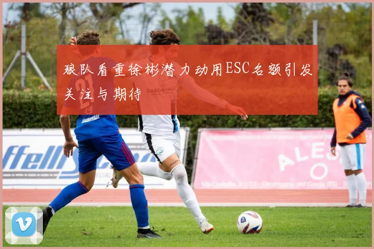 狼队看重徐彬潜力动用ESC名额引发关注与期待