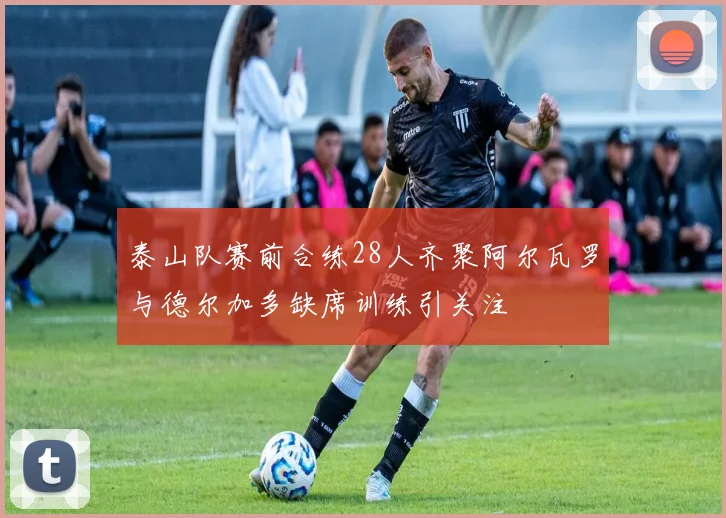 泰山队赛前合练28人齐聚阿尔瓦罗与德尔加多缺席训练引关注